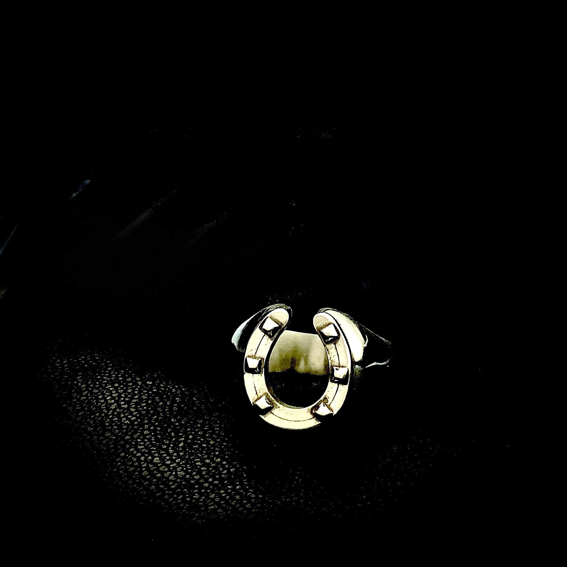 StaceyHareJewellery True Romance Horseshoe Ring 馬蹄リング ホース