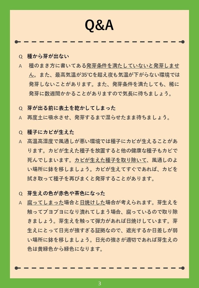 白い毛玉のようなサボテン マミラリア グラッシー Khncactus 白い毛玉のようなサボテン マミラリア グラッシー Khncactus