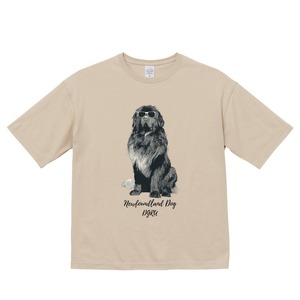 ニューファンドランド　ビックシルエットTシャツ