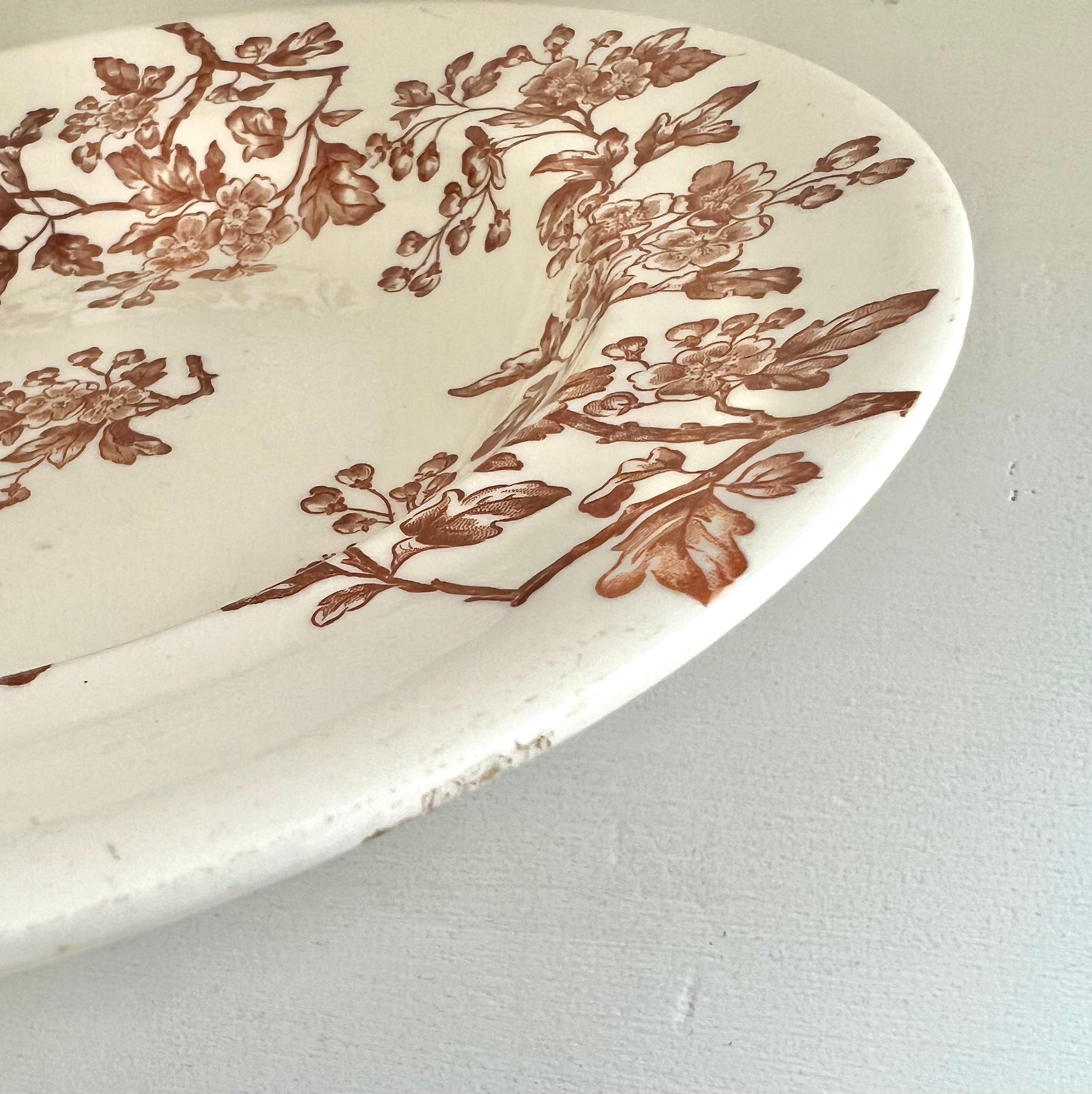 Longwy épine 深皿2 | antiquemanon