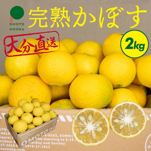 【数量限定】大分県宇佐市産 完熟かぼす 【標準品】 約2kg 14～20個【送料込】