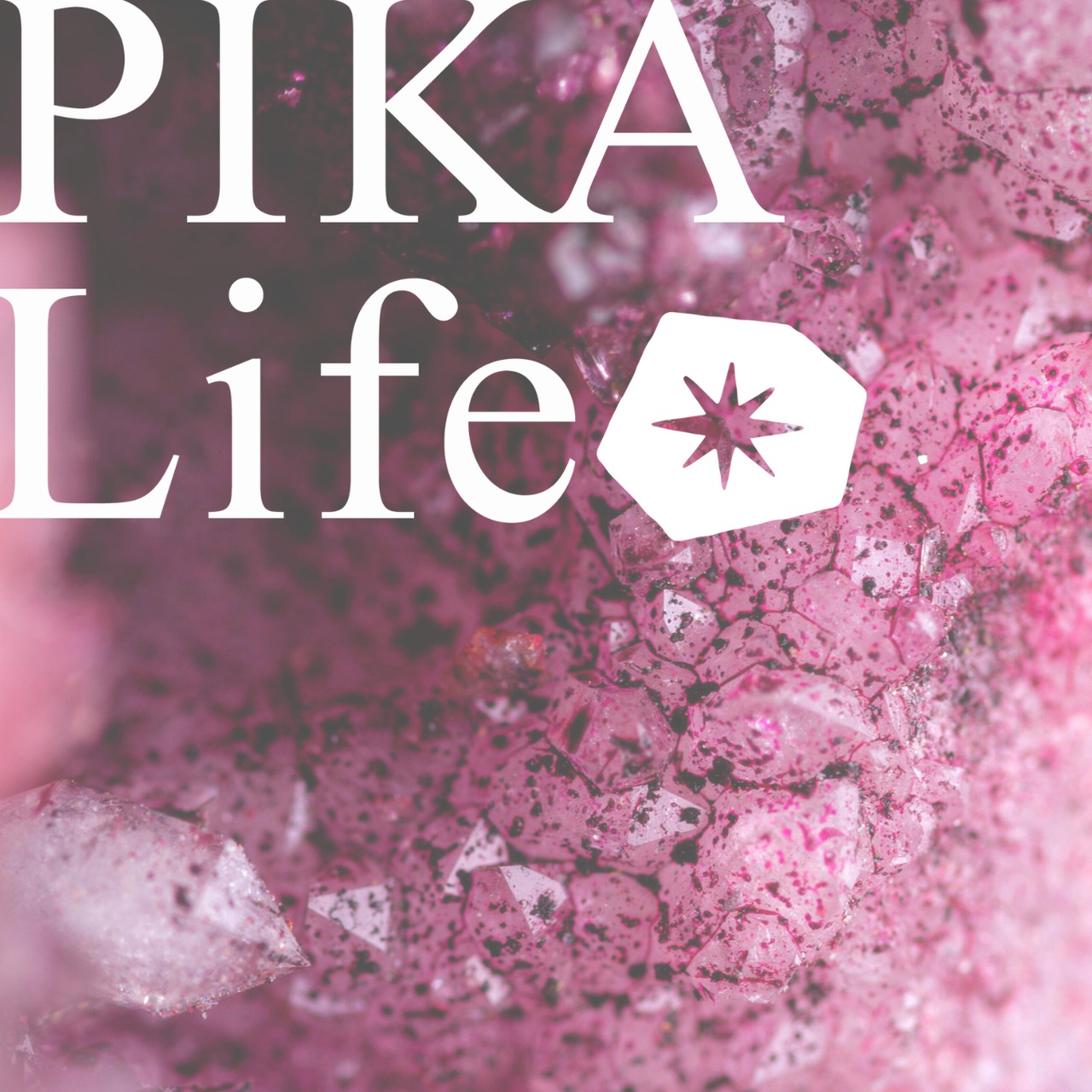 ⭔ お客様専用ページ ⭔ snowrisa様　※OPENBOX取り置き