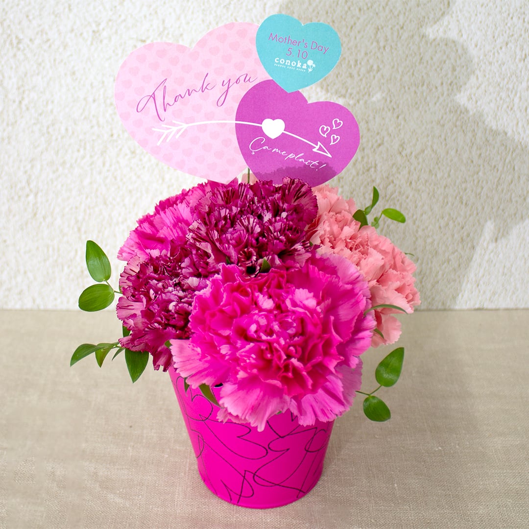早割10%【2026 Mother's Day AC-11 花アレンジメント(レッド)】母の日|母の日ギフト|カーネーション|フラワーギフト