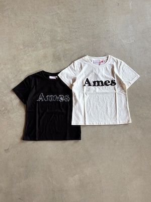 Ames Worldwide【BASIC Damage LOGO TEE】