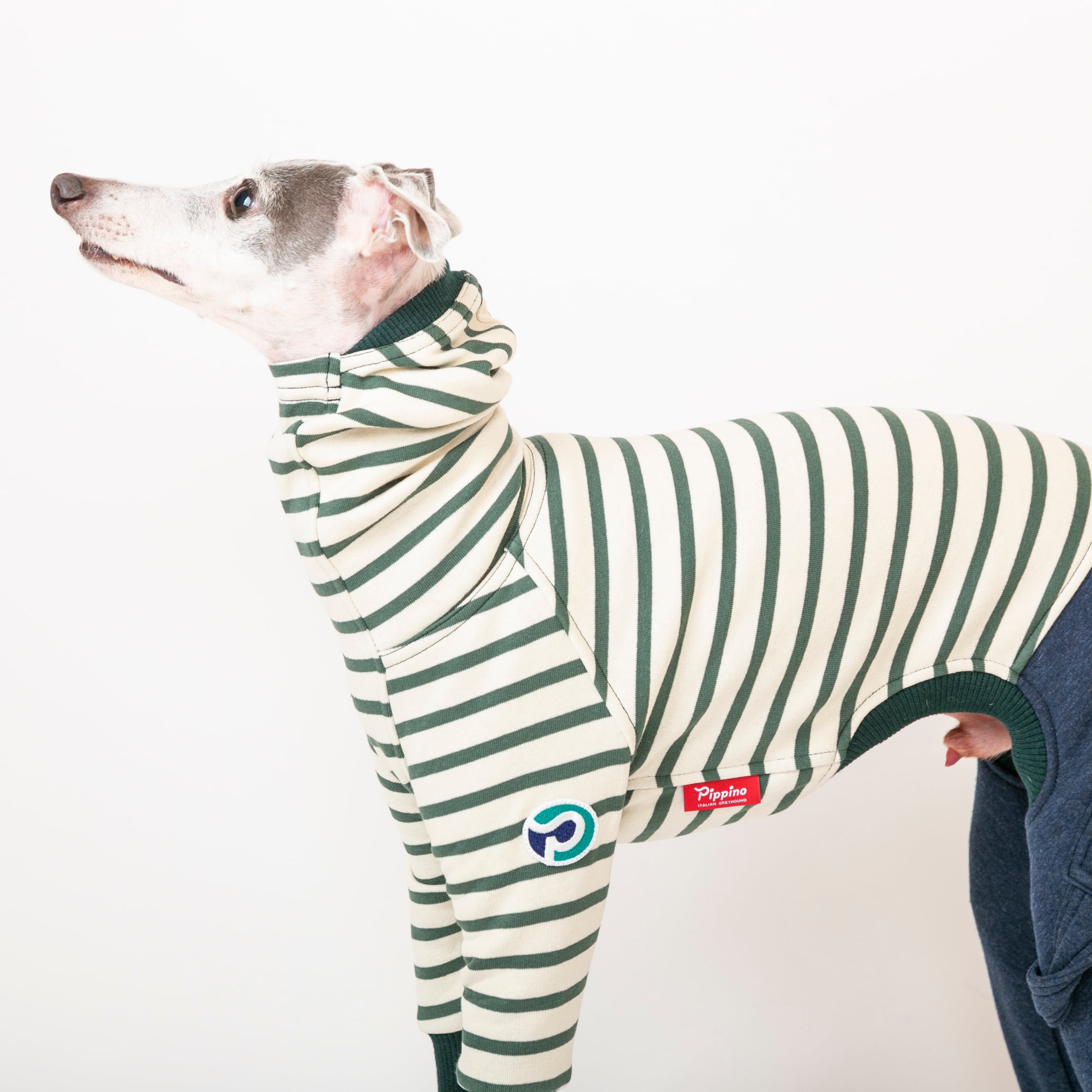 ボーダーファッションロンパース green / イタグレ服 | イタグレ