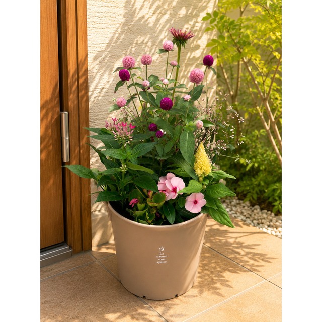 季節の寄せ植え  La nature ハンドリーポット 内径24cm  （シナモン・4色展開）６〜7種類のお花で構成 鉢植え ラッピング不可 ギフトメッセージOK