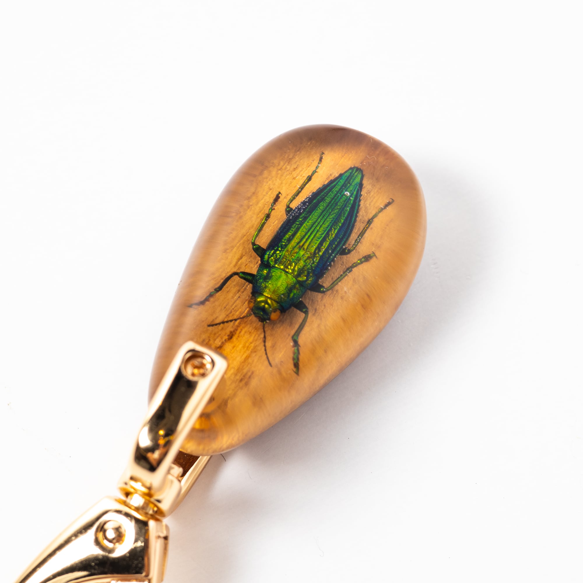 ミンダナオ島産タマムシ / 台座:チーク / キーチェーン / JELLY BUGS
