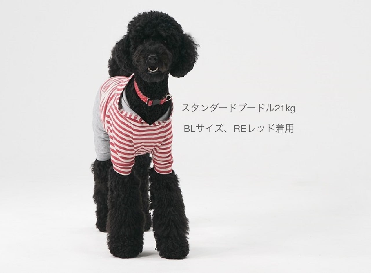 大型犬服 タイトロンパース【確認用】犬服
