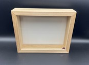 バードウィング製 ドイツ型標本箱 BWミニ桐箱 UVカット仕様