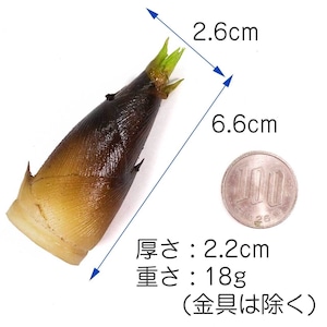 食べちゃいそうな たけのこ 食品サンプル キーホルダー ストラップ