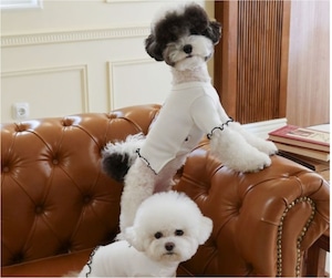 予約  【pecoramou select】  Love Me T-Shirt（Ivory）