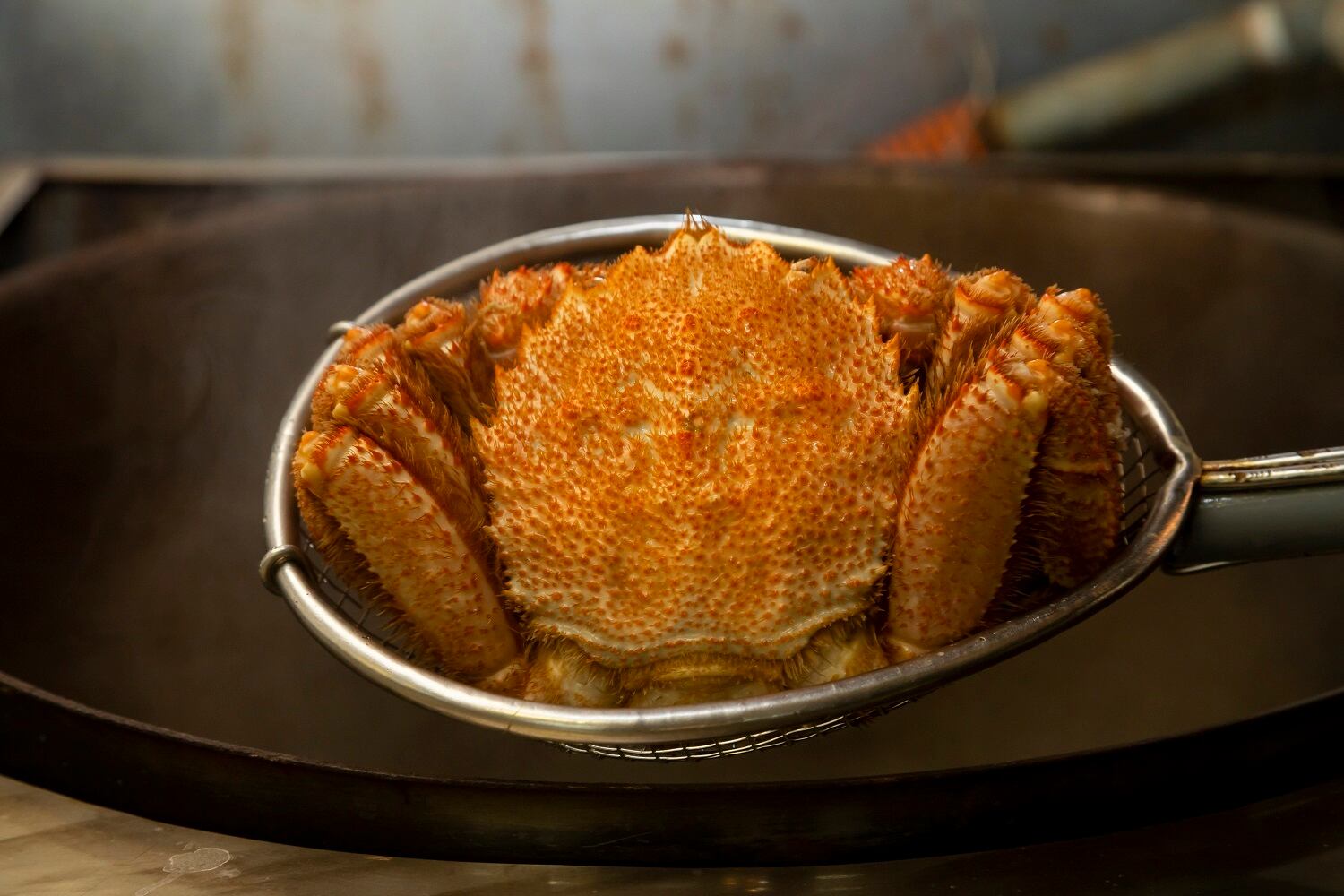 山口水産　匠の極上仕上げ　１尾６００グラム前後　【ボイル・冷凍・個数色々選択できます】