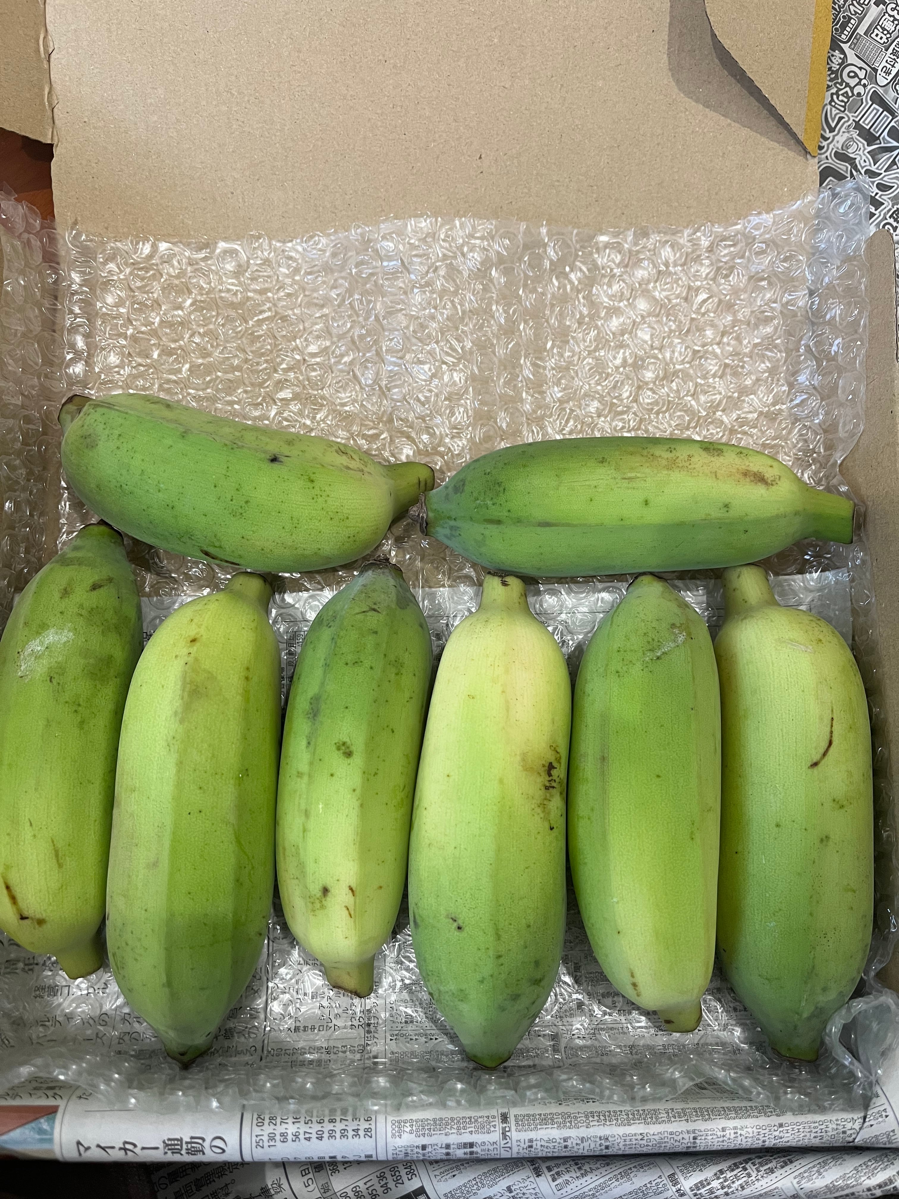 バナナ 沖縄産アップルバナナ1キロ | Pay ID