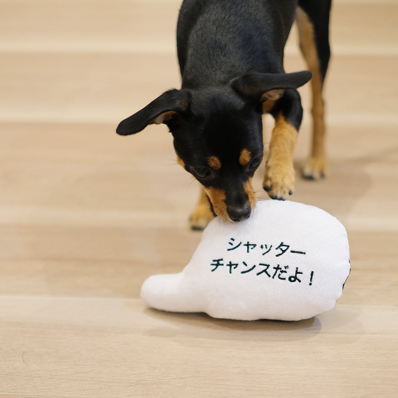 MESSAGE ROPE TOY メッセージロープトイ | MANDARINE BROTHERS