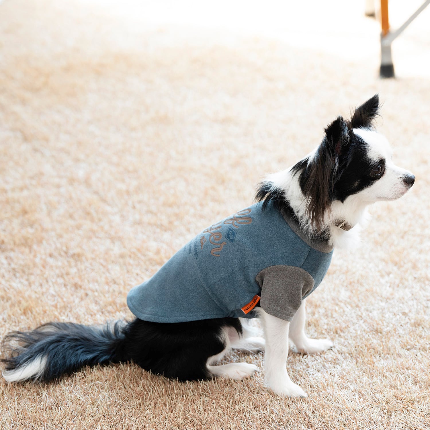 プレゼントCP対象商品】DOGもちのびT（BLUE×GRAY） | 38explore