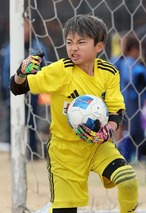 B-STRIKE 静岡限定　4号〜7号限定　予約受注