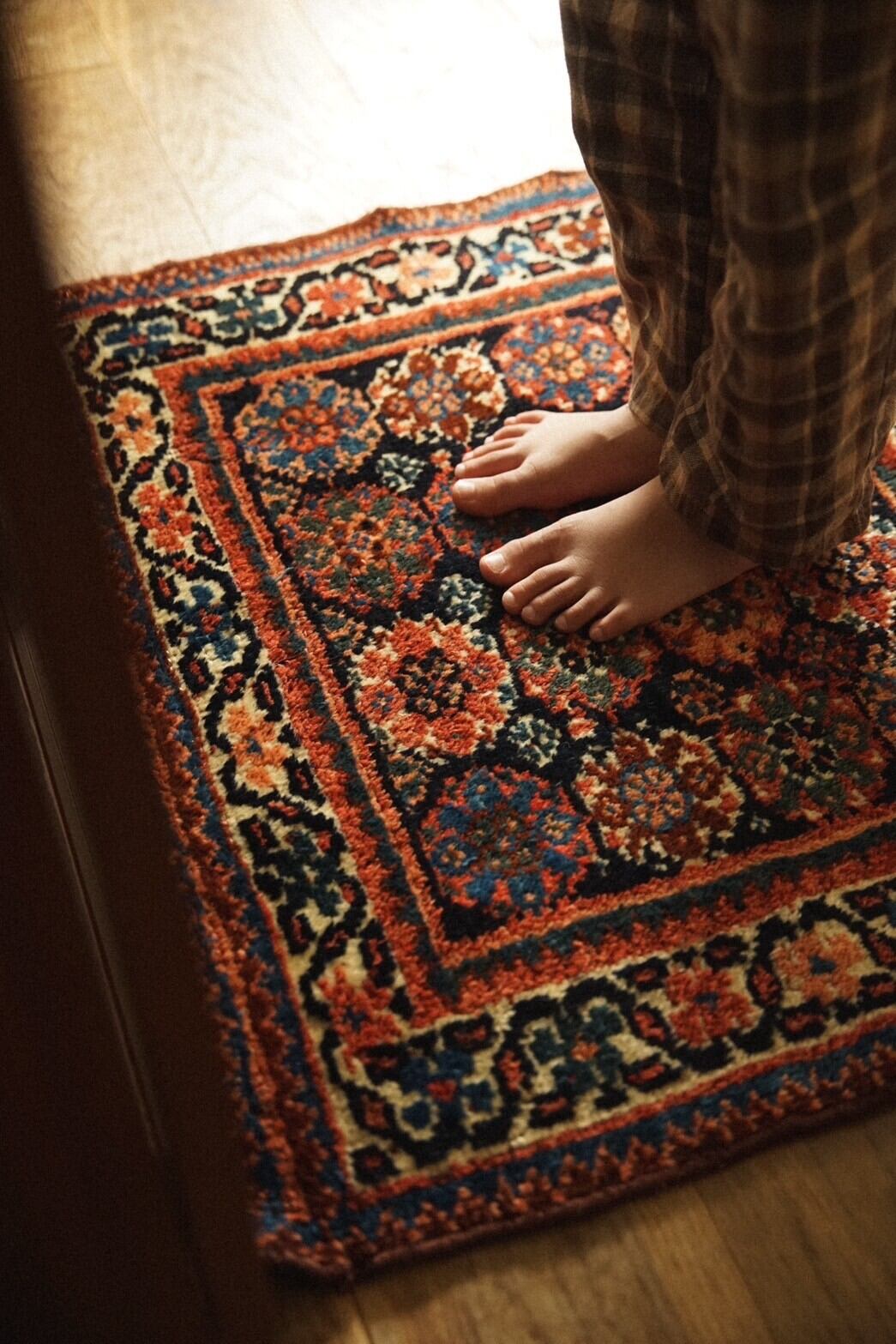 1239-Semi Antique Afshar rug