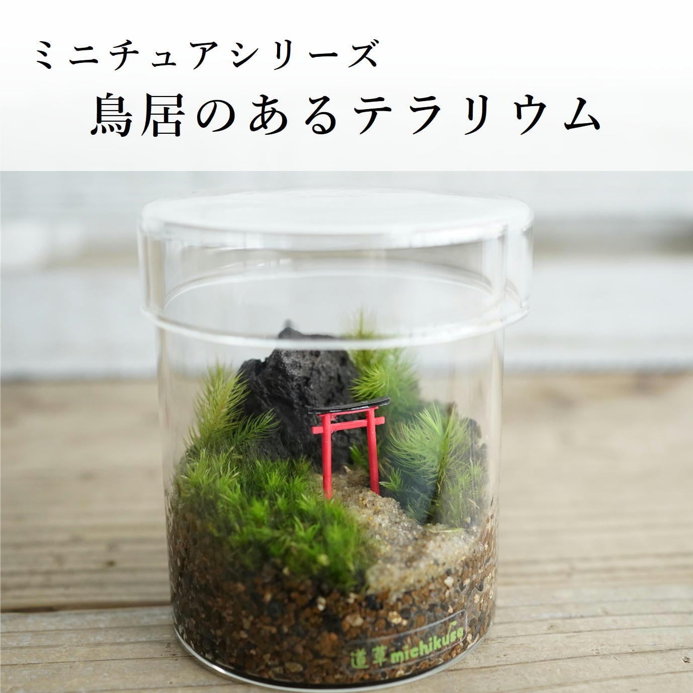 【受注生産】グラステラリウム3030　イモリウム　苔テラリウム　アクアテラリウム 受注生産】イモリウムグラステラリウム3030 苔テラリウム アクア