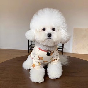 ドッグ 犬 小型犬 服カテゴリ ドッグウェア 室内着 Tシャツ ハニー クマ かわいい シンプル カジュアル おしゃれ 主役級 存在感 ラブリー キュート ベーシック シンプル くま柄 春 夏 男の子 女の子 成犬 スクール デート お出かけ パーティー イベント レストラン 公園 休日 バカンス カフェ 朝 散歩 ウォーキング 室内 普段使い トレンド 流行 インスタ映え 定番 XS S M L XL 白 ホワイト ブルー