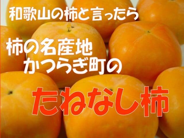 和歌山県産　たねなし柿　家庭用3キロ