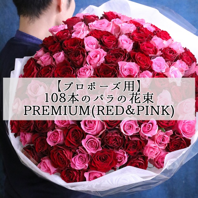 【プロポーズ用】 108本の生花バラの花束(RED＆PINK)
