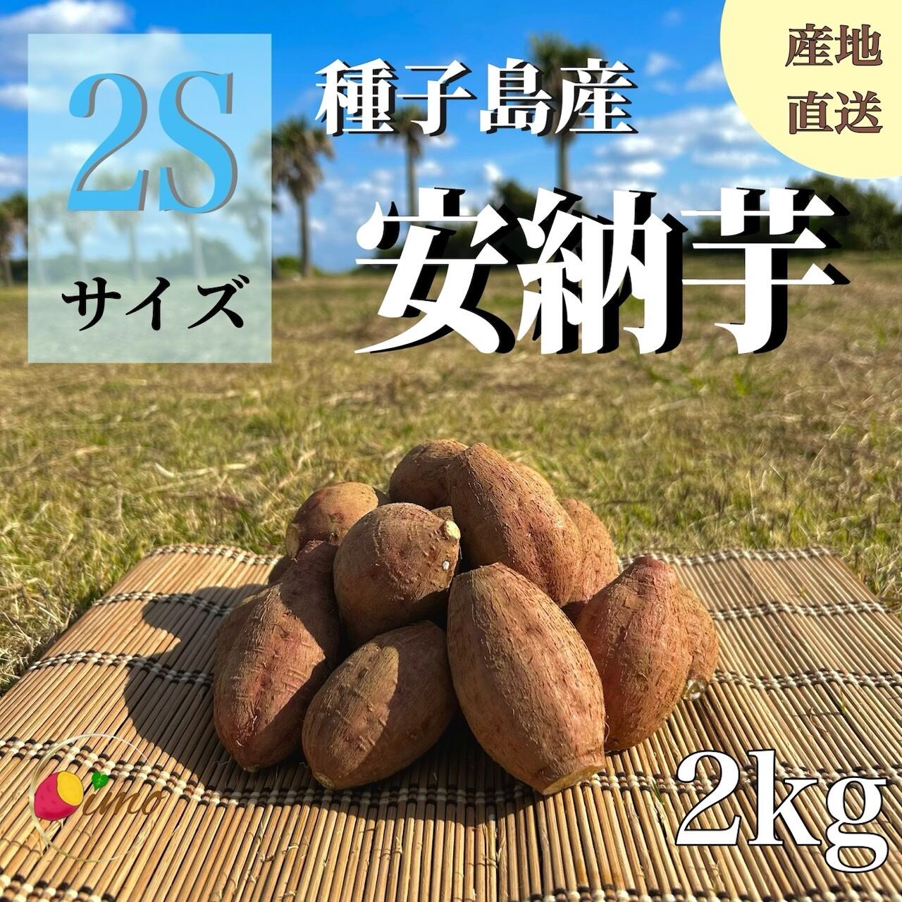 安納芋(紅) Mサイズ 25キロ　種子島産 ◆大地と太陽と潮風に育まれた安納芋◆ 安納芋(紅) Mサイズ 25キロ 種子島産 ◇大地と太陽と潮風に育まれた