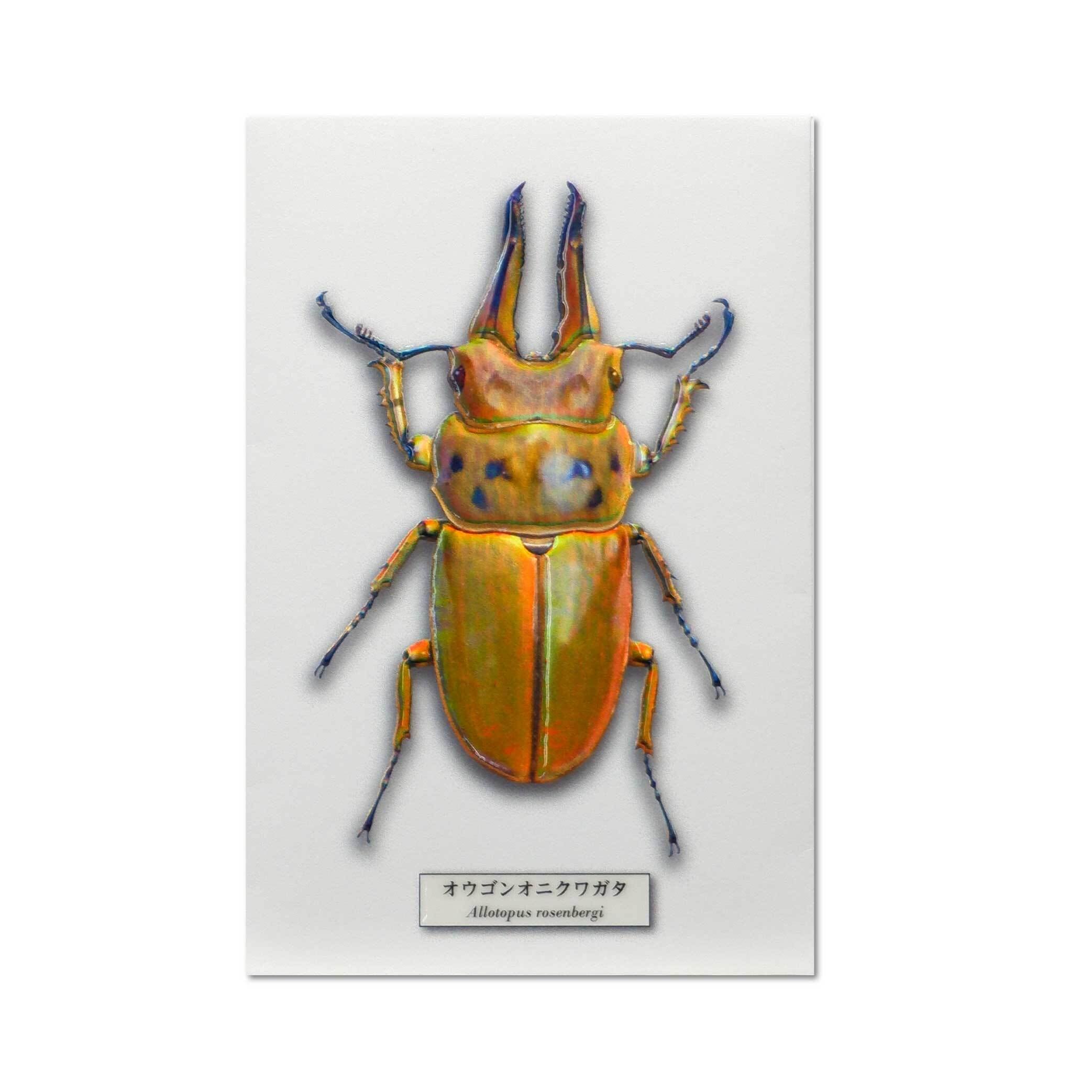 でこぽち 昆虫ぽち袋 No007 オウゴンオニクワガタ | ONLINE HAKKEN Lab.