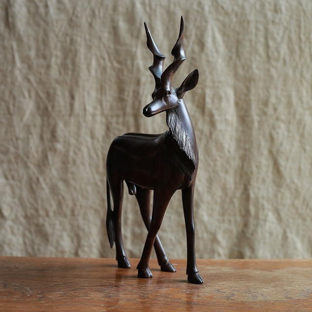 立派な角を持つ、オスのシカ