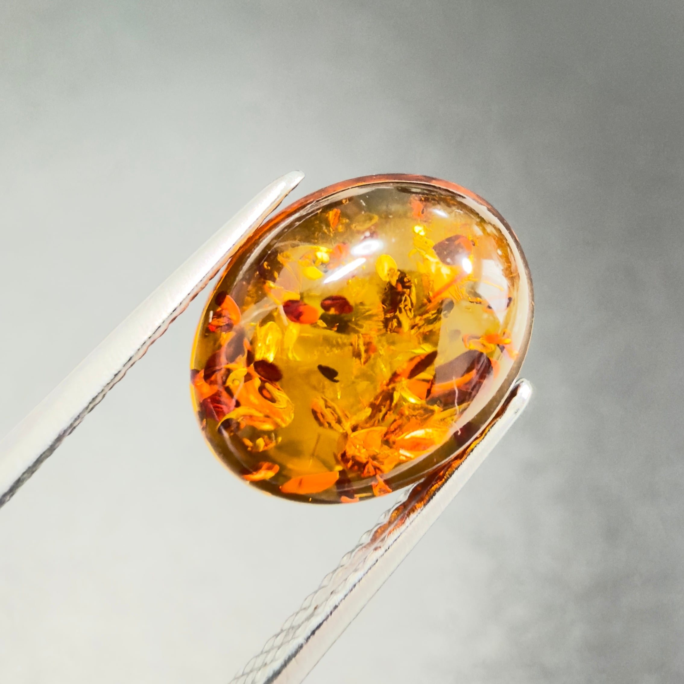 琥珀　レア品　ポーランド 琥珀】 ルース ポーランド産 1.41ct | たからいしルース オンライン