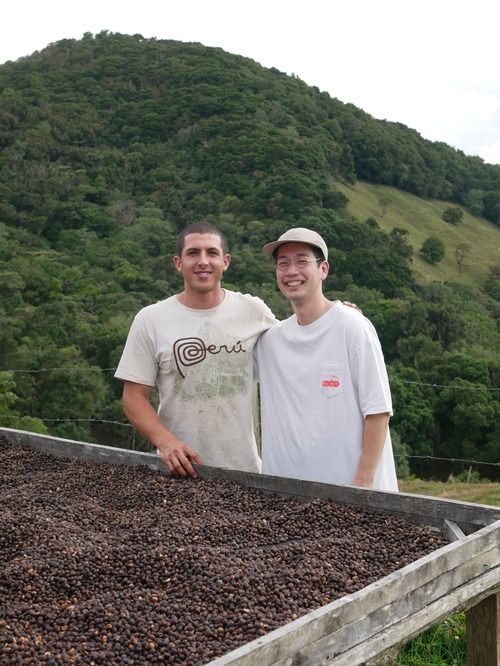 ⭐︎⭐︎浅煎　サンタテレサ2000 エルベト by ロジャー&ホセ　100g