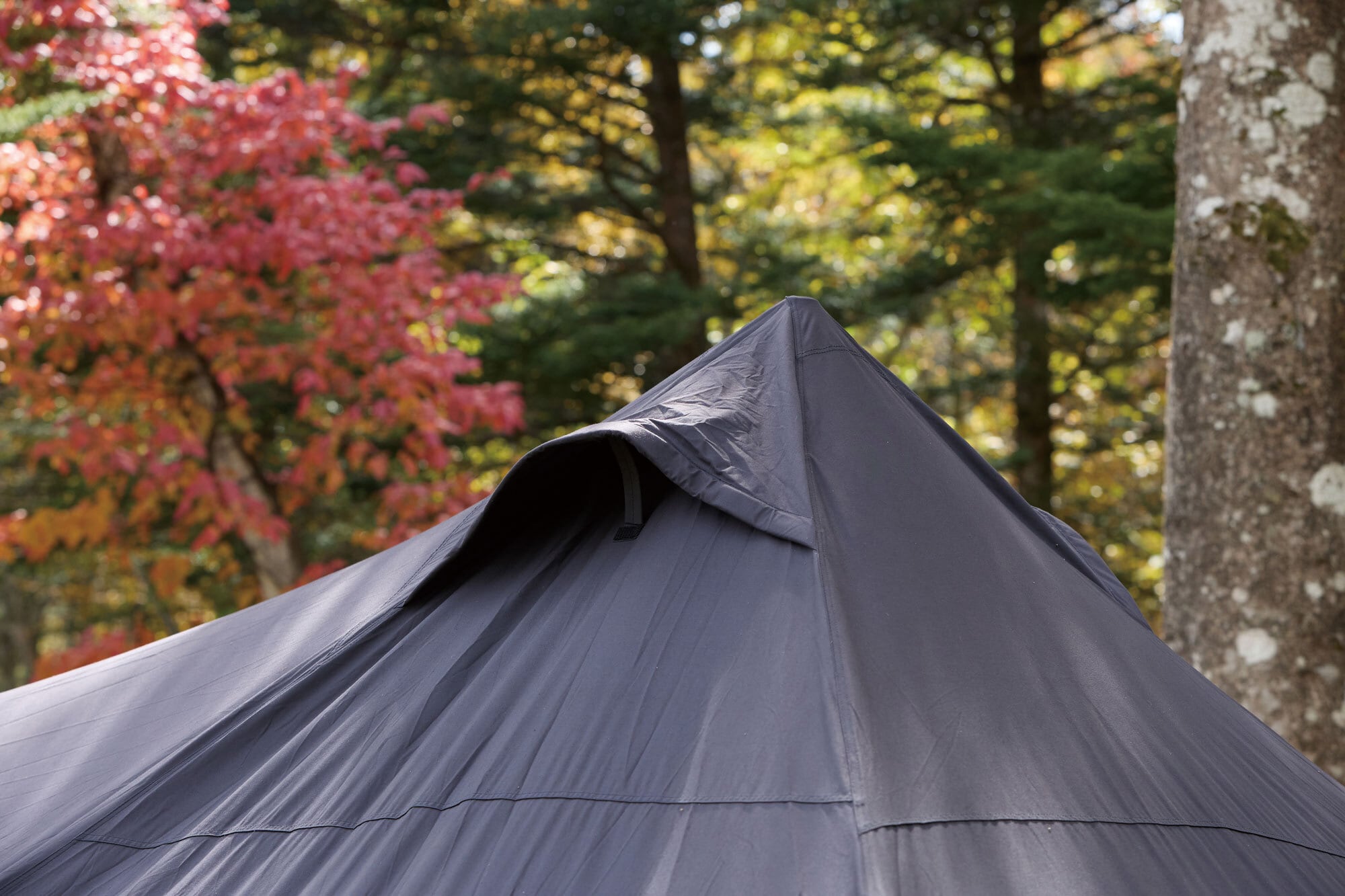 SIDE-3 TC BK（TP-400BK）1ポールシェルター | アウトドア・キャンプ