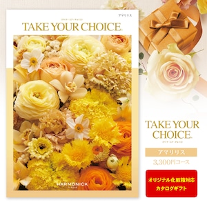 カタログギフト「TAKE YOUR CHOICE」＜3,300円コース＞ ※ゆうパケット便送料無料  内祝い お返し 出産内祝い 出産祝い 出産祝  結婚祝い 結婚内祝い 新築内祝い 入学祝 入学内祝い 快気祝い 引越し ギフト 名入れ 写真入り グルメ ギフトセット 入園内祝 初節句