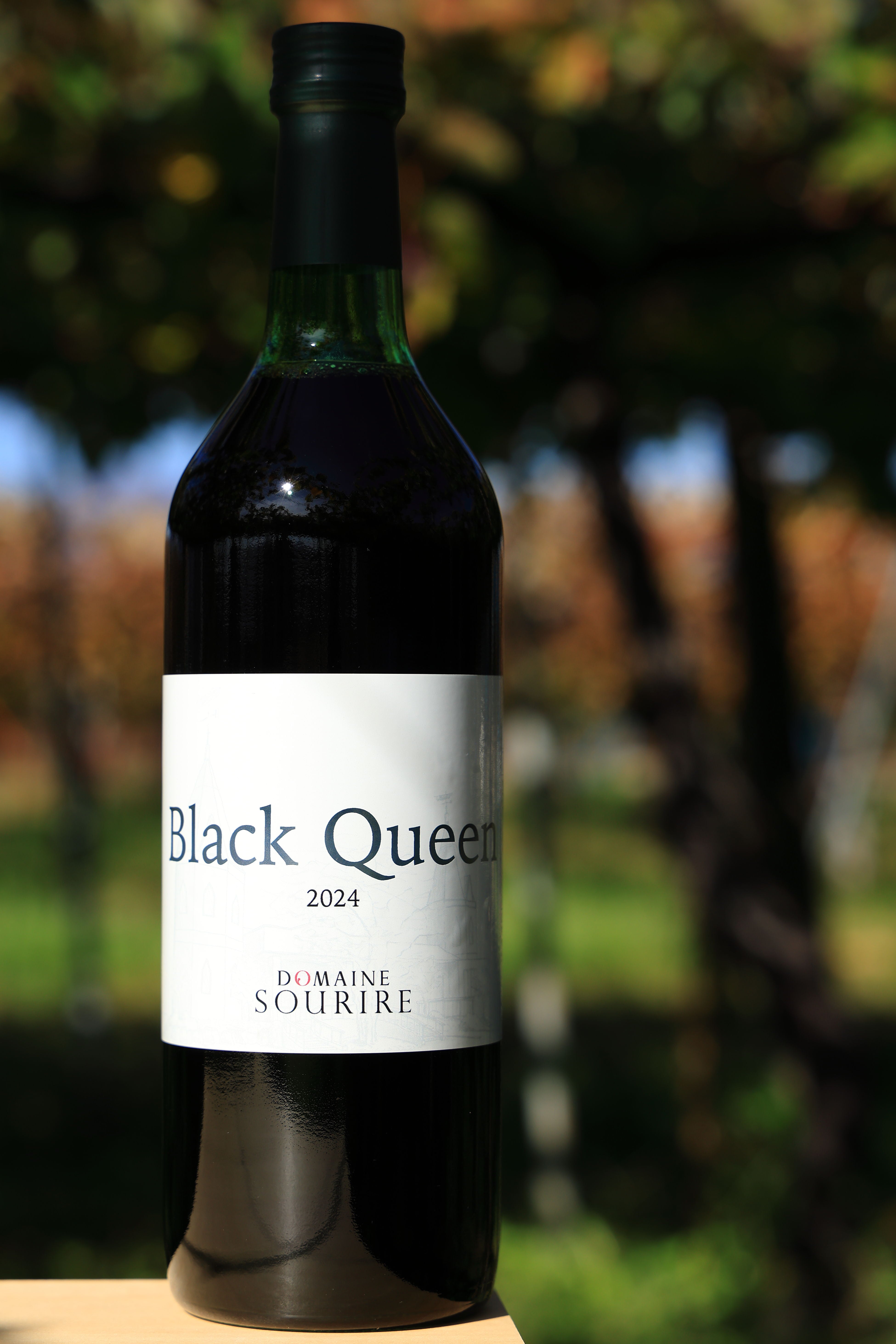 【NEW】ブラック・クイーン　2024