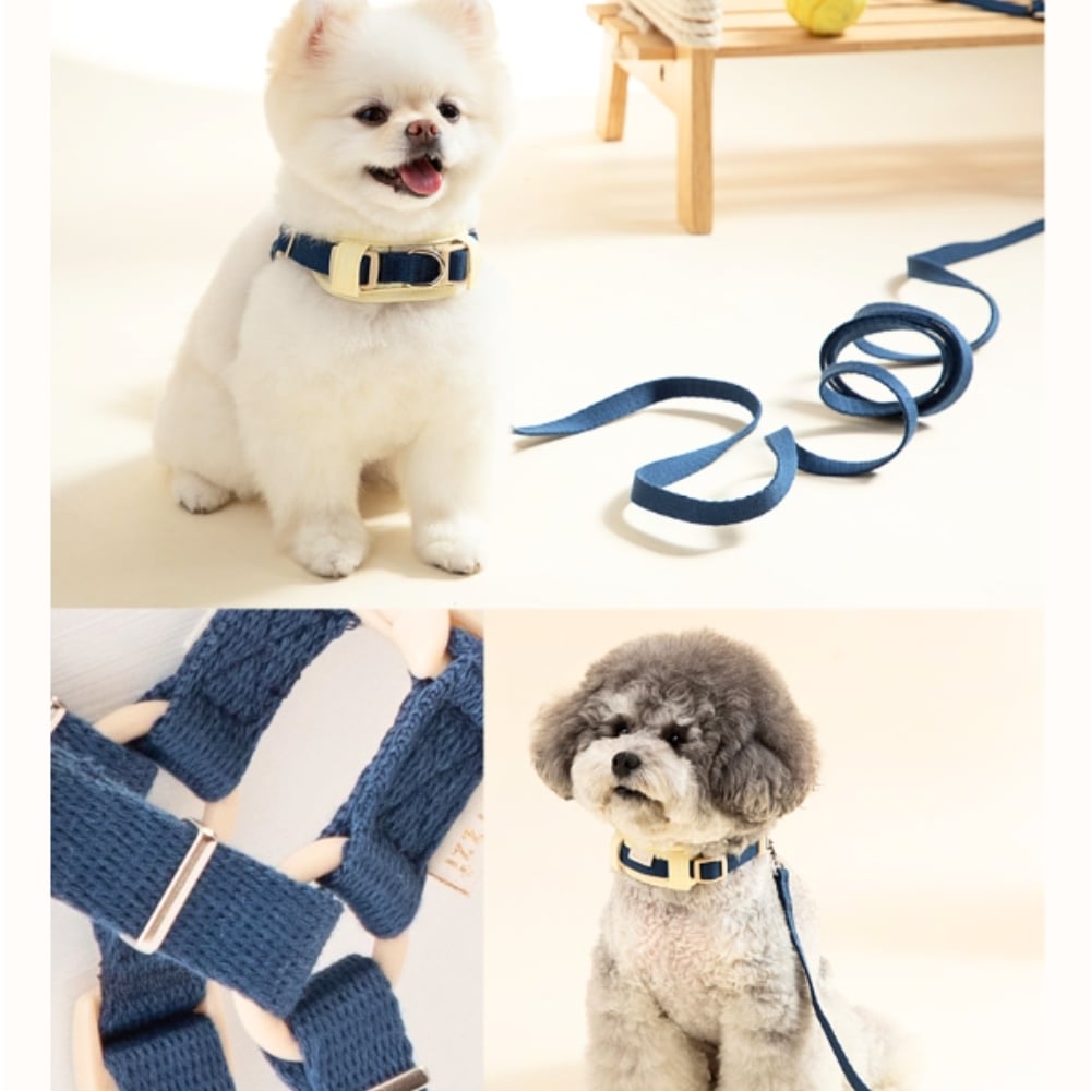 YType Harness Y型ハーネス | anpi