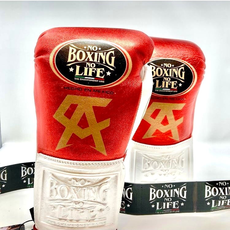 No Boxing No Life 数量限定カネロモデルボクシンググローブ レッド