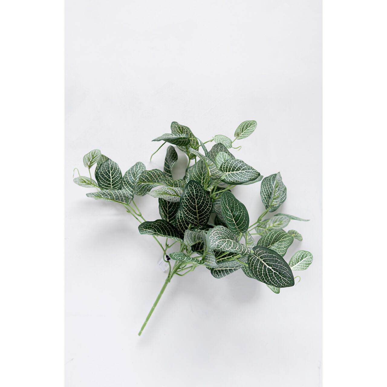 フェイクプランツ | みどりの雑貨屋 Web Shop