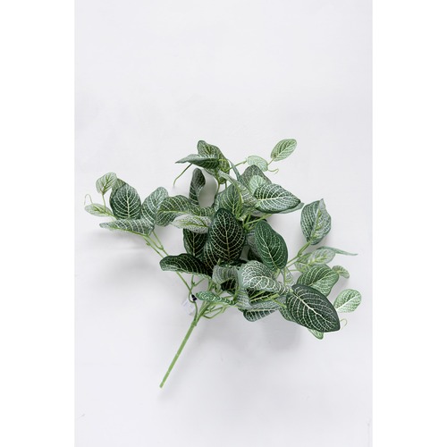 フィットニアブッシュ　099-A-44417