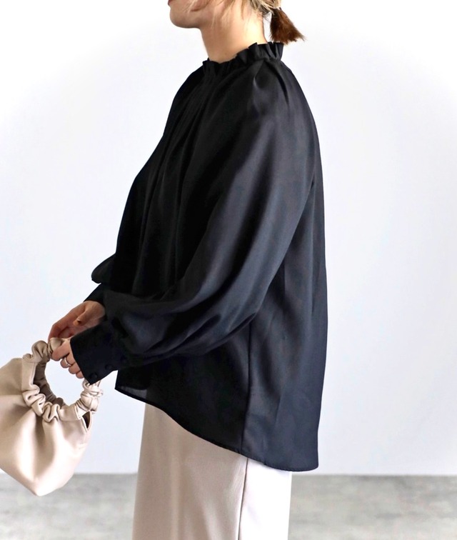 ボリュームスリーブシアーブラウス