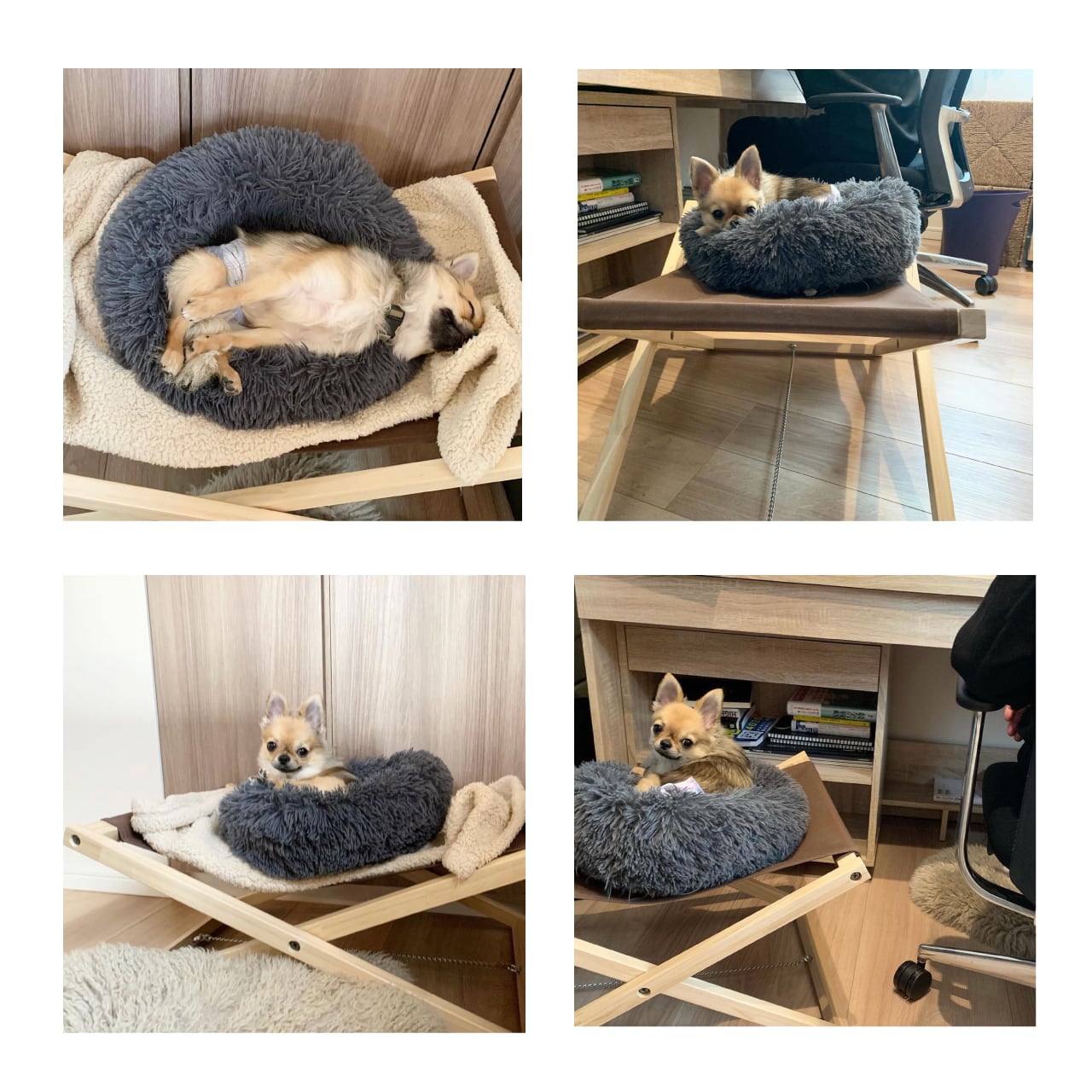 BULL COT Lサイズ (おしゃれ シンプル 室内 キャンプ コット ベッド