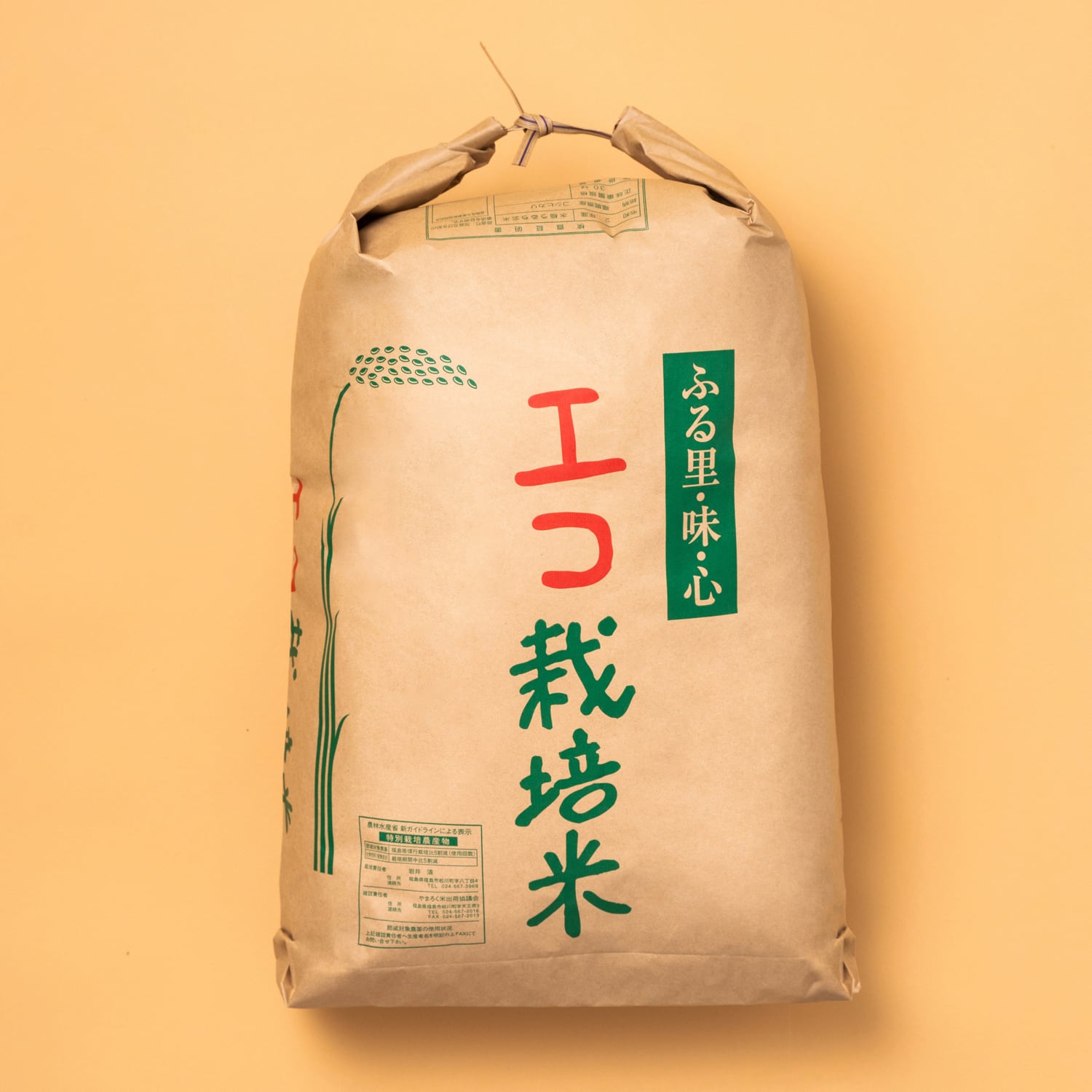 玄米】30kg エコ栽培米コシヒカリ（令和5年 福島県産）（送料込