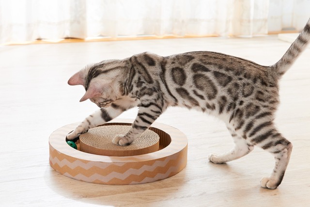 【人気商品】ミュー (mju:) 猫用おもちゃ ニャンコロビー サークル ナチュラル