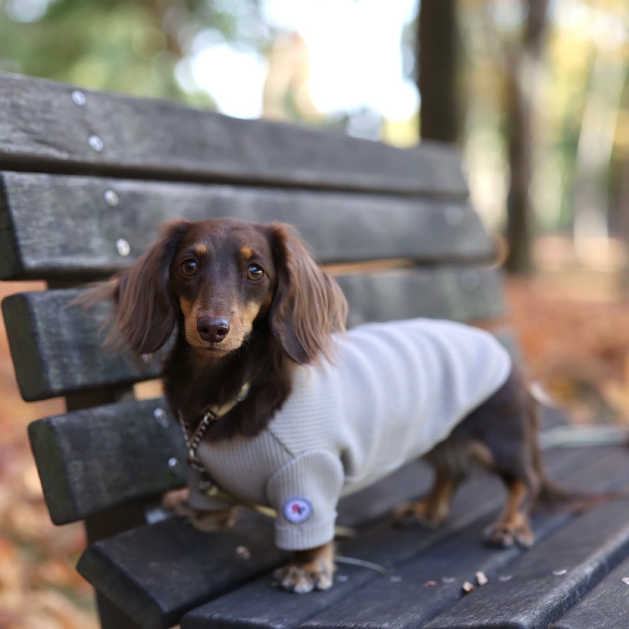ベアワッフルニット / 袖あり | カニンヘンダックスとミニチュア