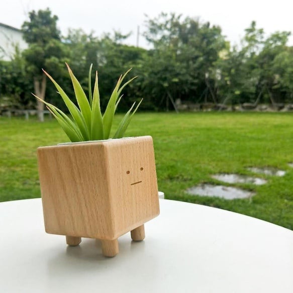 ボーちゃん植木鉢 木製 ウッド ミニ 植木鉢 おうち花見 TOSMU | TOSMU