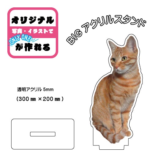 ビッグアクリルスタンド（30cm×20cm） | voxpopオンラインショップ