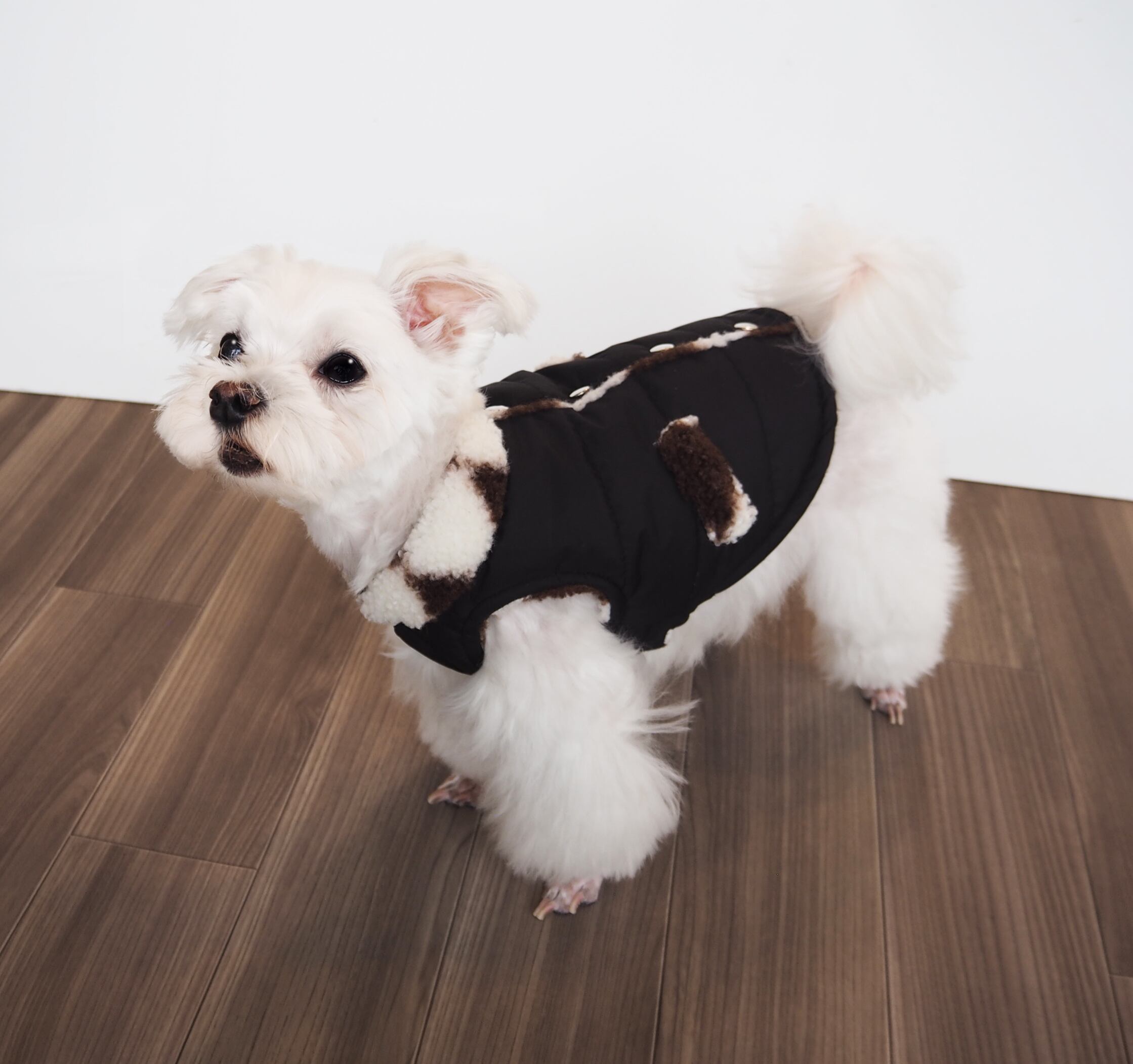 【ドッグウェア】おでかけベスト グレー/ブラック