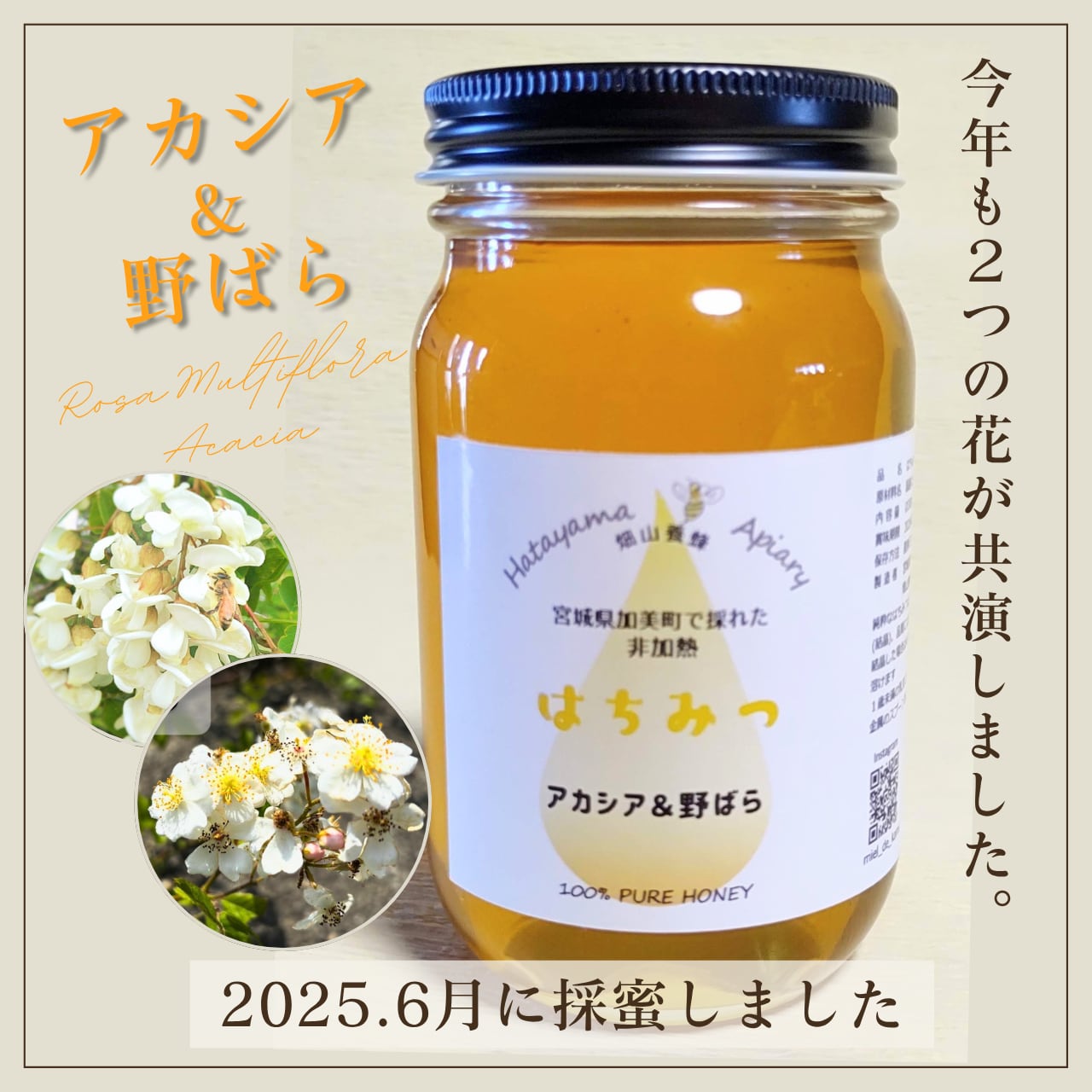 アカシア＆野ばらのはちみつ 300g【2025年分完売】 | 宮城県産天然・非