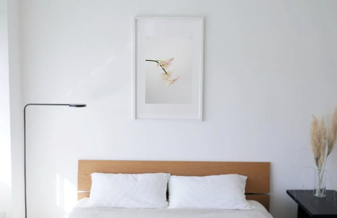 Alexander Goodman(アレキサンダー・グッドマン) #8 white wooden frame 63cm×93cm付き ( LL )