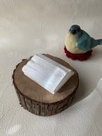 セレナイト 原石 ~聖母マリアのガラス~