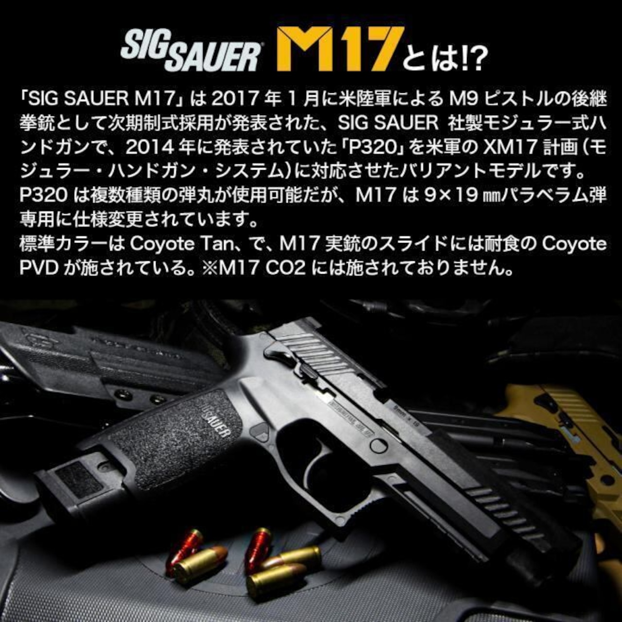 【CUSTOM】SIG SAUER ProForce M17 CO2 GBB CO2 ブラック ダイレクトマウント/アウターバレルスペーサー組込済み