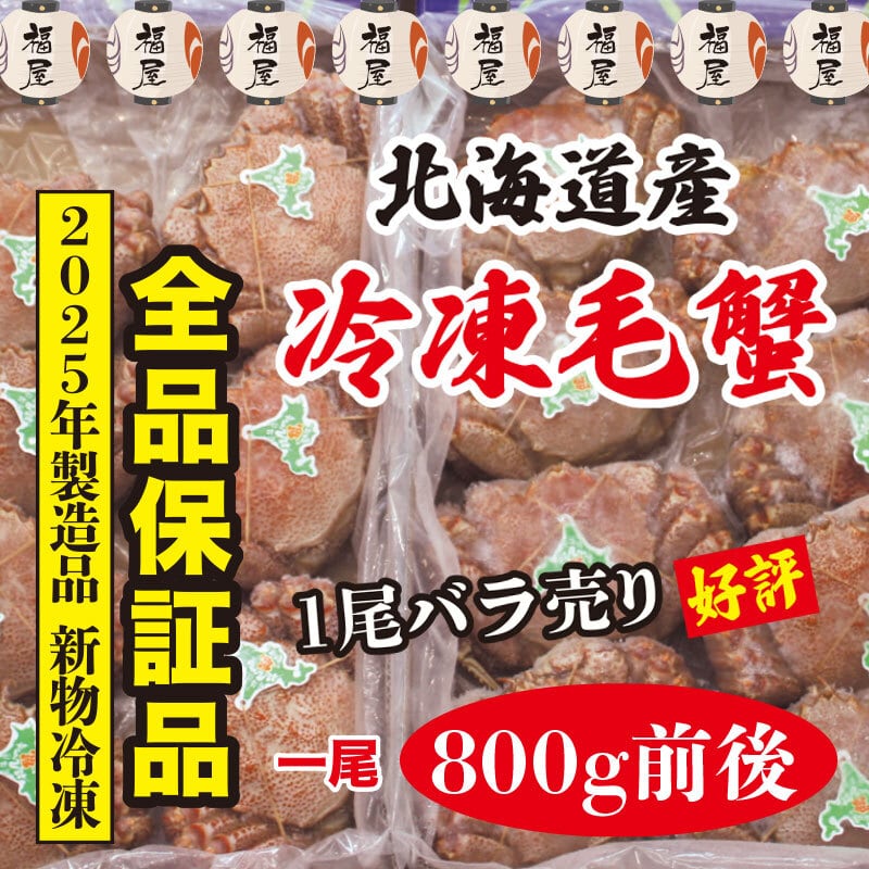 吉浜乾鮑【20g～】最高級純国産干しあわび(キッピンカンポウ)※即納